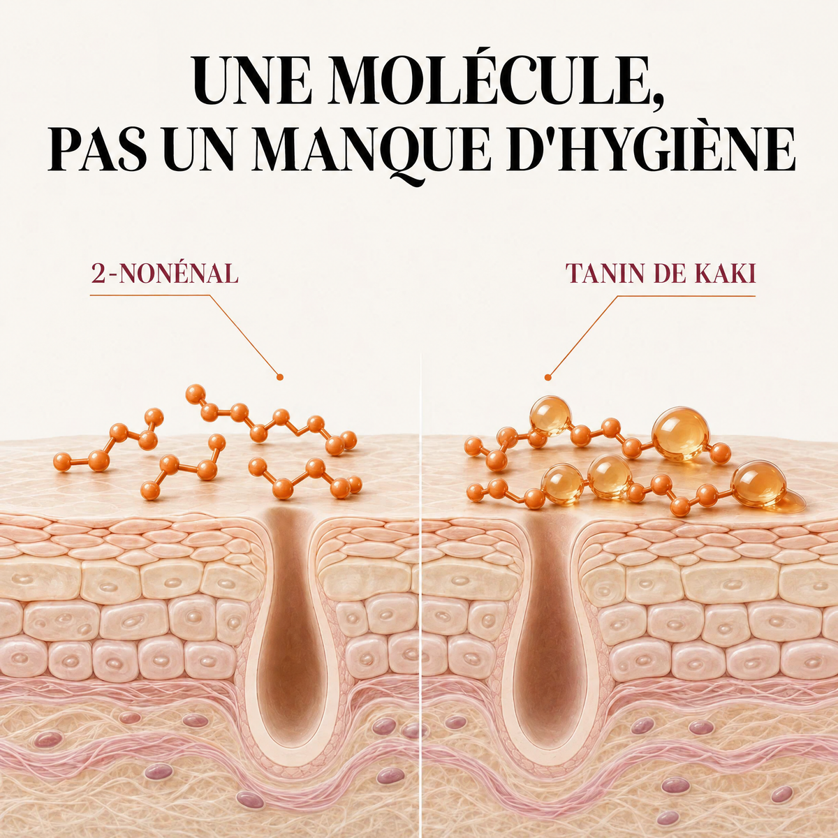 Savon au kaki japonais